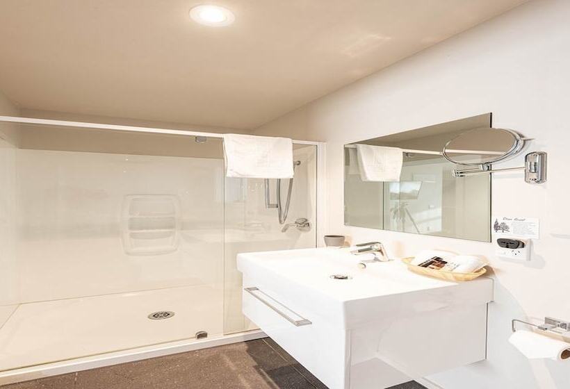 דירת חדר, 311 Motel Riccarton