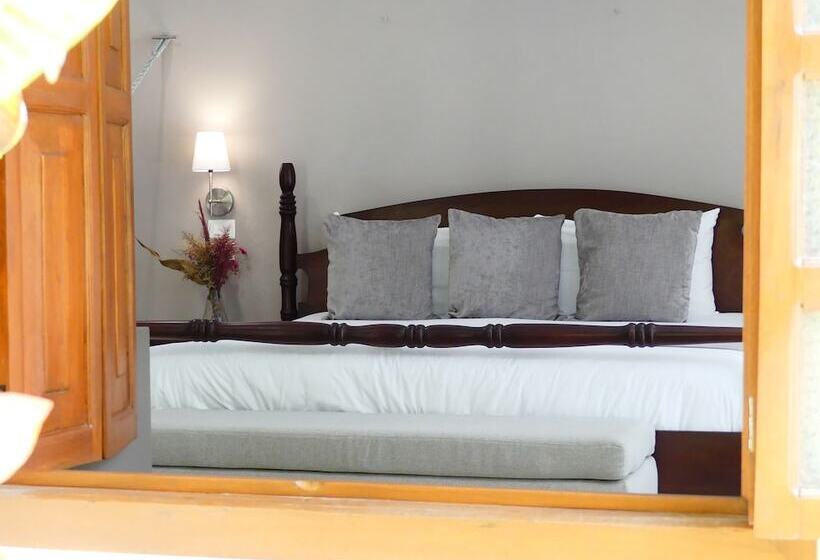 נוף לבריכה, Casa Valladolid Boutique