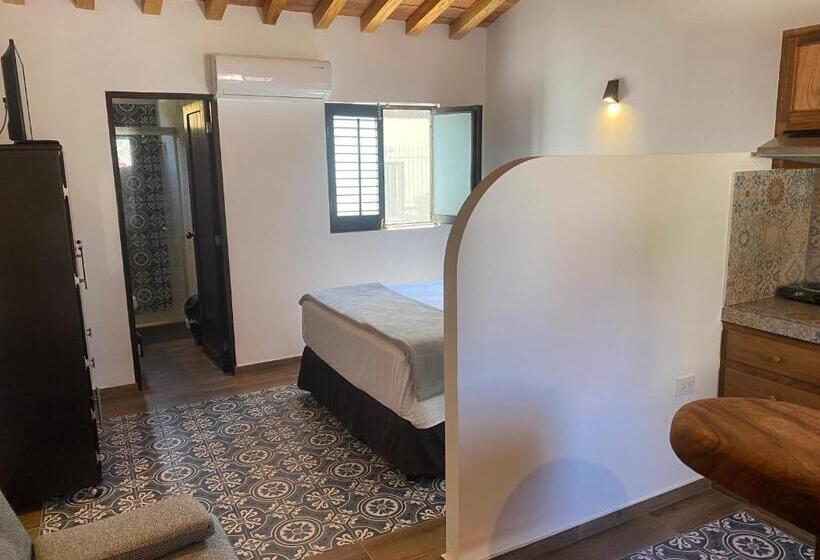 １ベッドルームアパートメント, Villa Serena Centro Historico