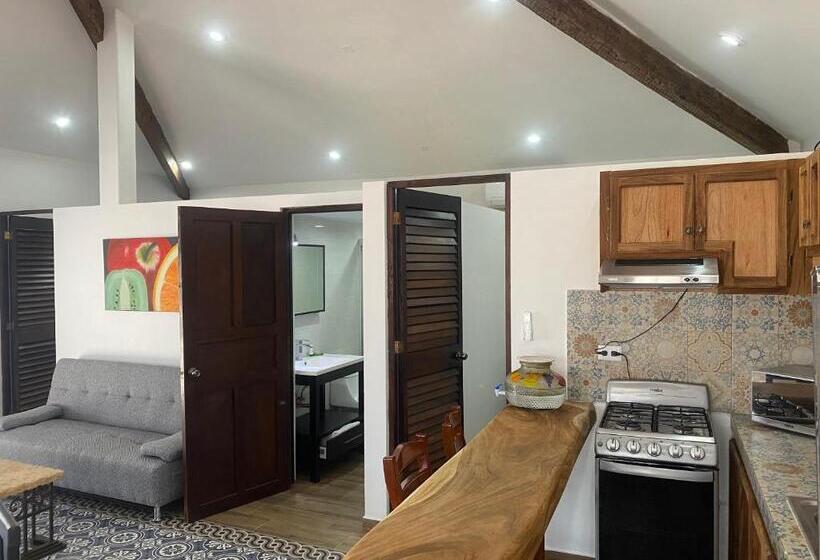 ２ベッドルームアパートメント, Villa Serena Centro Historico