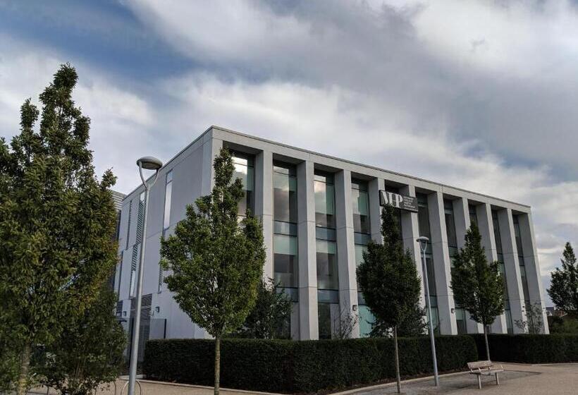 غرفة ديلوكس, Arena House