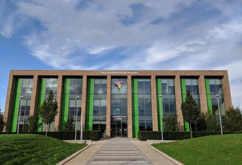 غرفة إقتصادية, Arena House