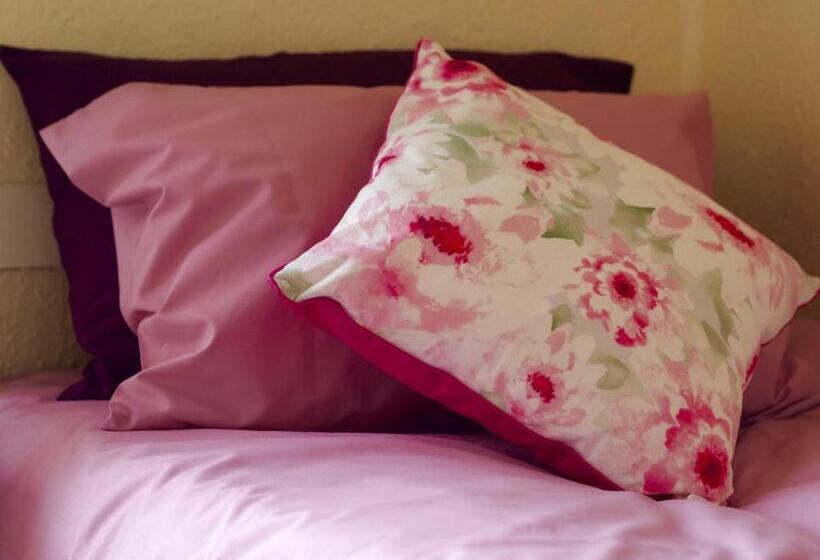 标准单人间客户, Carlton House Scarborough