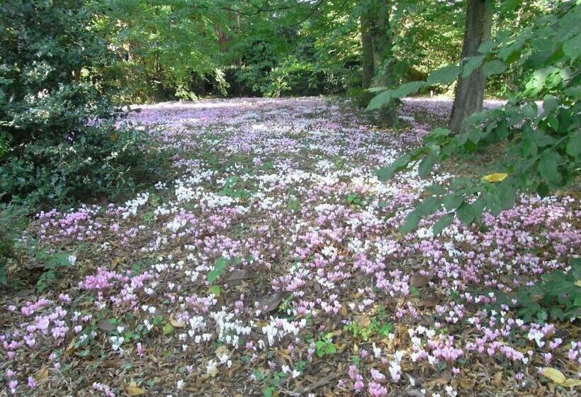 חדר בסיסי, Manoir Du Parc