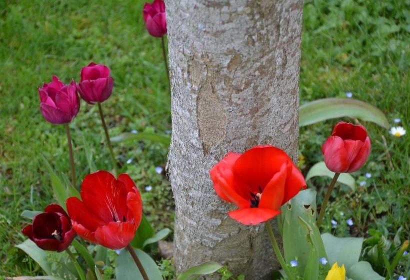 בית צמוד 2 חדרים, Manoir Du Parc