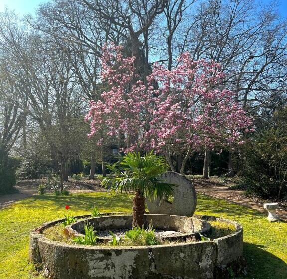 סטודיו סטנדרטי נוף לגינה, Manoir Du Parc