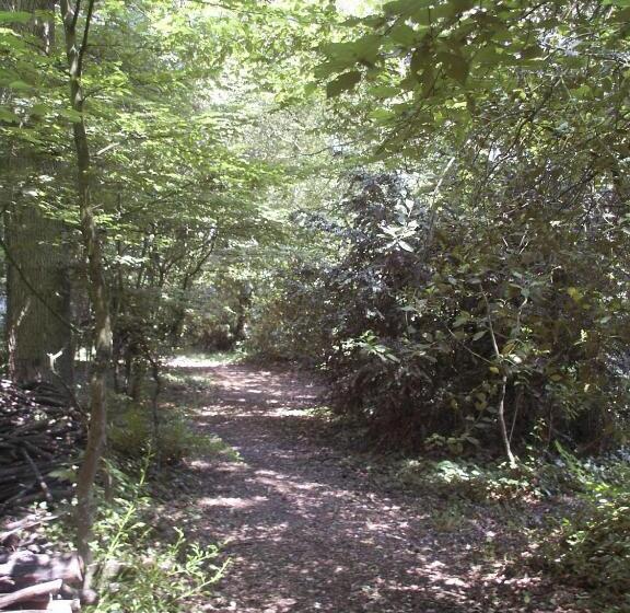 בקתת חדר, Manoir Du Parc