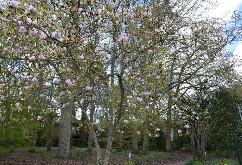 חדר סטנדרט עם מיטת קווין, Manoir Du Parc