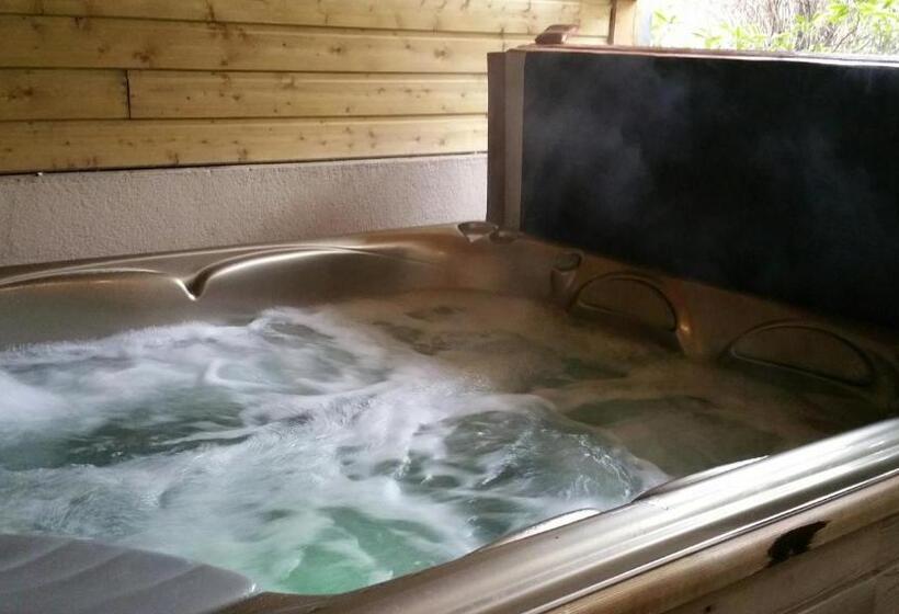 בית צמוד 2 חדרים, Manoir Du Parc