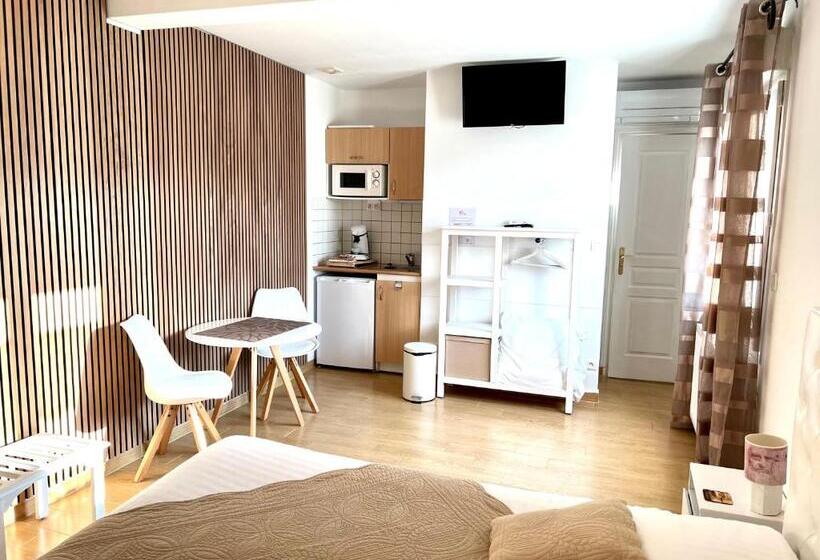 Студио Стандарт Вид на Сад, Manoir Du Parc