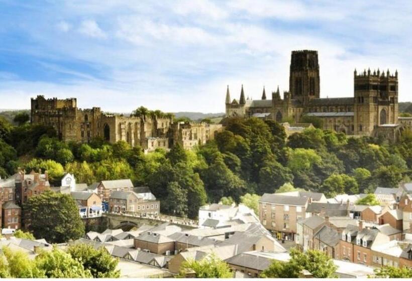 غرفة سوبيريور سرير كينج, The City