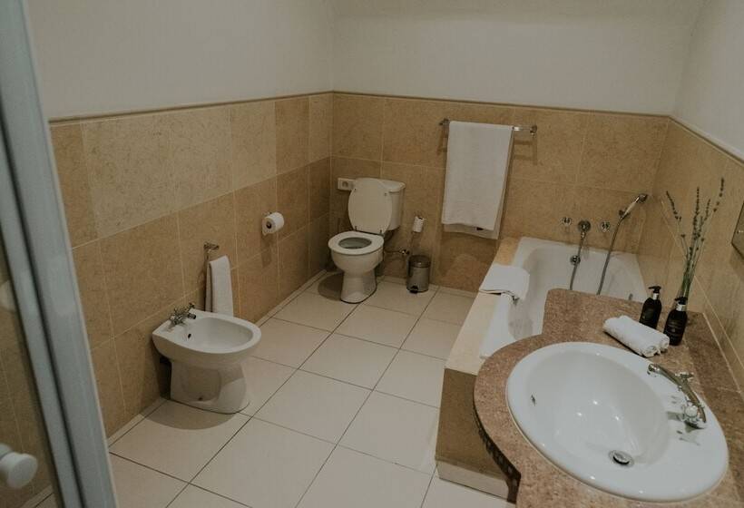 غرفة قياسية, Cana Vineyard Guesthouse