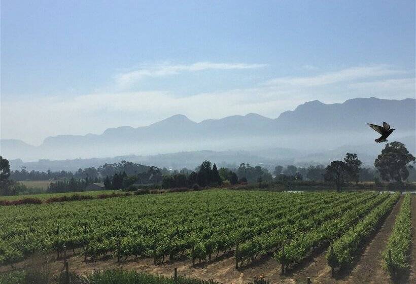 غرفة قياسية, Cana Vineyard Guesthouse