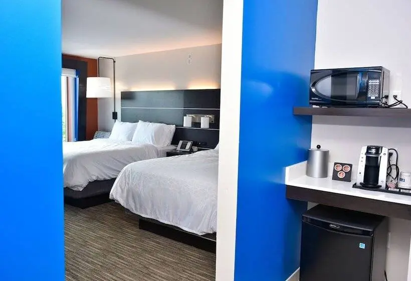 スタンダードルーム, Holiday Inn Express & Suites   Bensenville   O Hare, An Ihg
