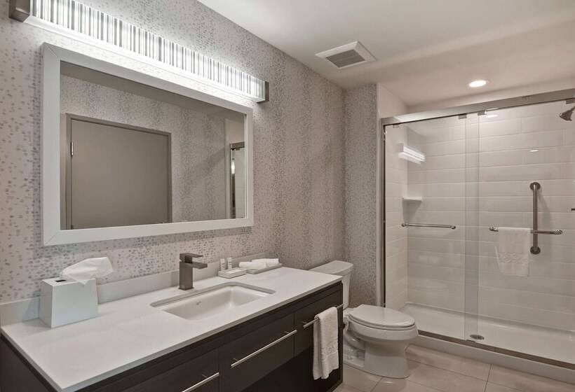 适合残疾人士使用的带双人床的标准间, Home2 Suites By Hilton Hot Springs