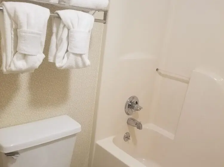 ２ダブルベッドのスタンダードルーム, Park Tower Inn