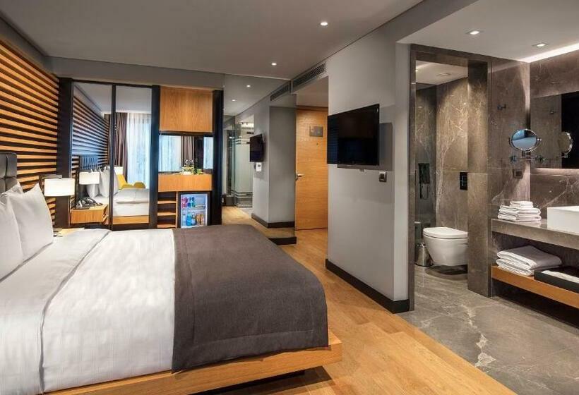 اتاق لوکس, Metropolitan Hotels Bosphorus   Special Category