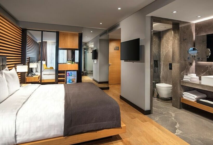 اتاق لوکس, Metropolitan Hotels Bosphorus   Special Category