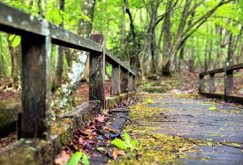 Люкс, Mineyama Kogen Hotel Relaxia