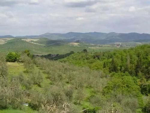 اتاق استاندارد چهار تخته, Borgo Carpineto