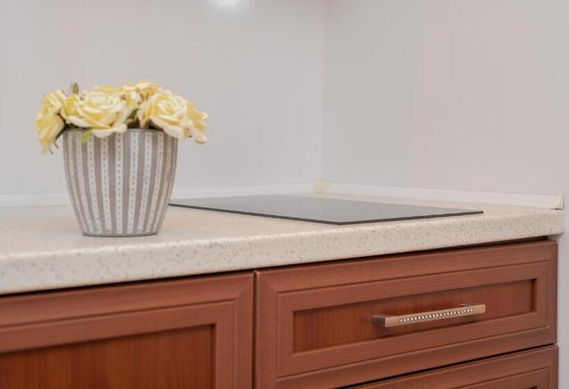 شقة ديلوكس غرفة واحدة, Harmony Suites Monte Carlo