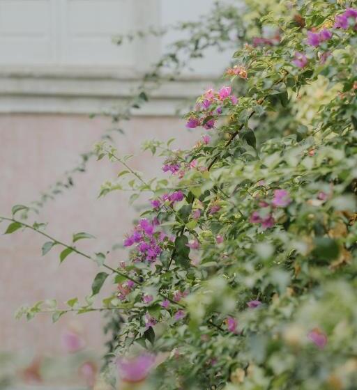 Apartament 1 Sypialnia z Tarasem, Relais Monastero Santa Teresa Albergo Diffuso