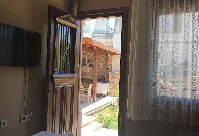 חדר סטנדרט, Hayriye Hanim Ege