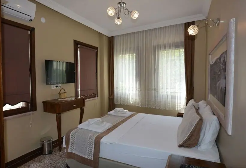 Standard-huone, Hayriye Hanim Ege