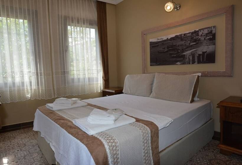 חדר סטנדרט, Hayriye Hanim Ege