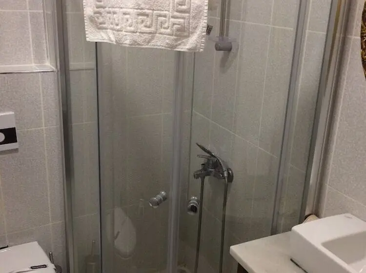 Standard Kolmen Hengen Huone, Hayriye Hanim Ege