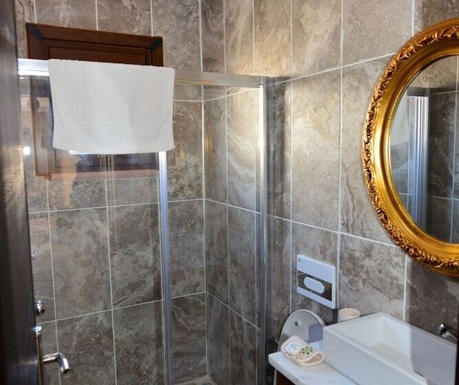 חדר סטנדרט לשלושה, Hayriye Hanim Ege