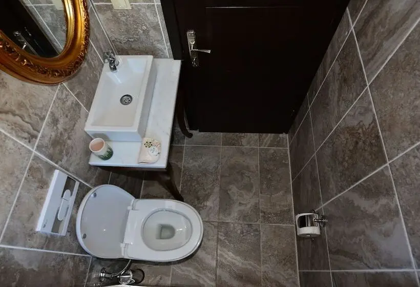 Standard Kolmen Hengen Huone, Hayriye Hanim Ege