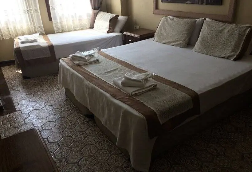 Standard Kolmen Hengen Huone, Hayriye Hanim Ege
