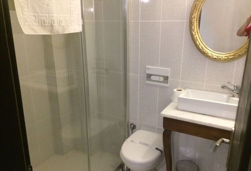 חדר משפחתי, Hayriye Hanim Ege