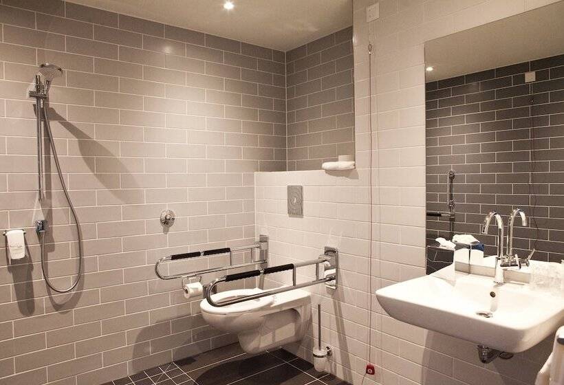 장애인을 위한 스탠다드 룸, Holiday Inn Express Frankfurt Airport   Raunheim, An Ihg