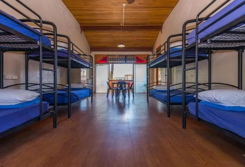 تختخواب در اتاق مشترک, Aquarius Backpackers Resort