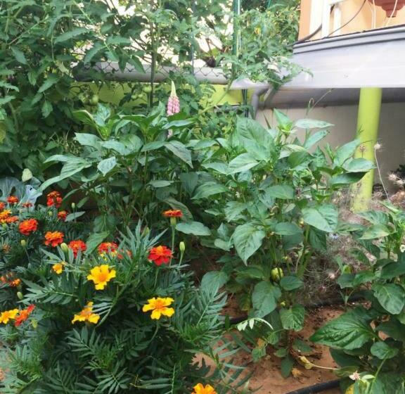 Студио Стандарт Вид на Сад, Friendly People's Guest House