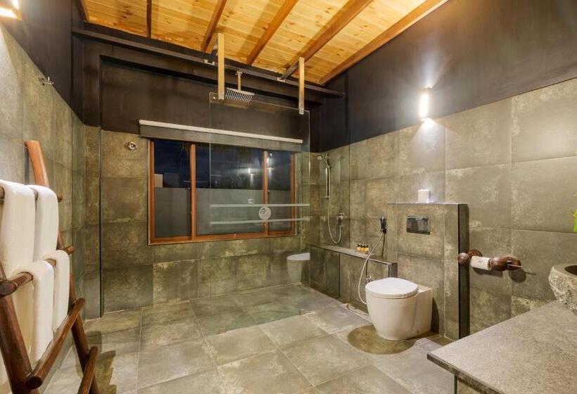 Номер Deluxe, 98 Acres Resort & Spa