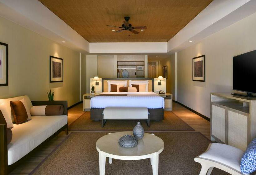 سوییت, Seda Lio