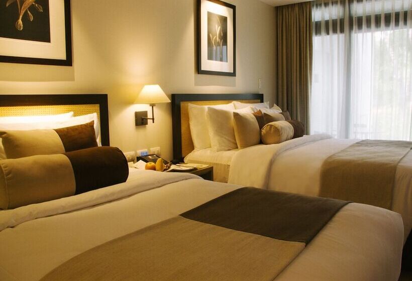 اتاق لوکس, Seda Lio