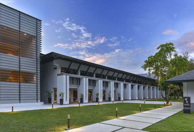 اتاق لوکس, Seda Lio