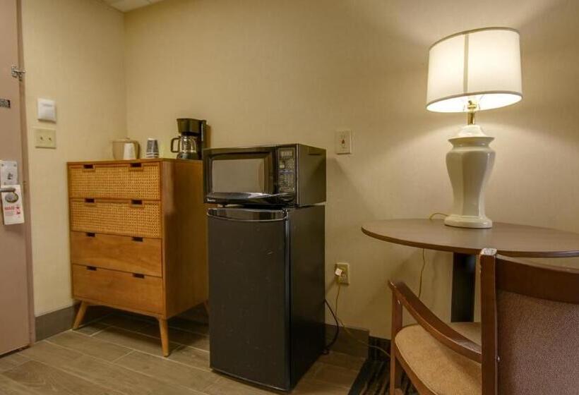 اتاق استاندارد با چشم‌انداز, Americana Motor Inn On Boardwalk