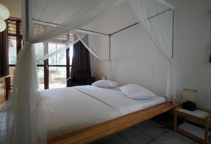 استودیوی استاندارد, Le Garni