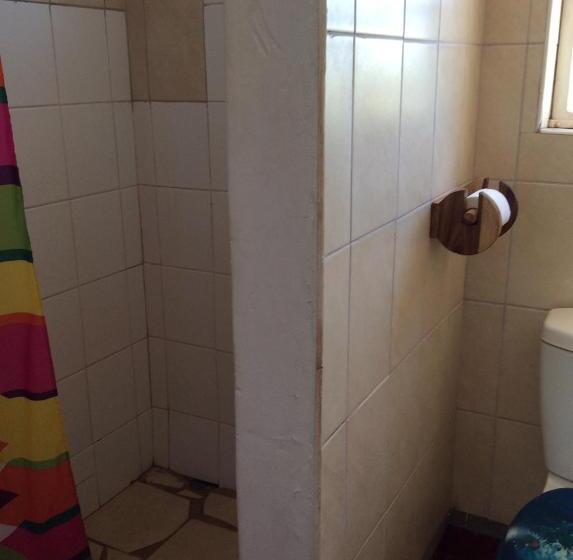 اتاق استاندارد, Tabonina Bis