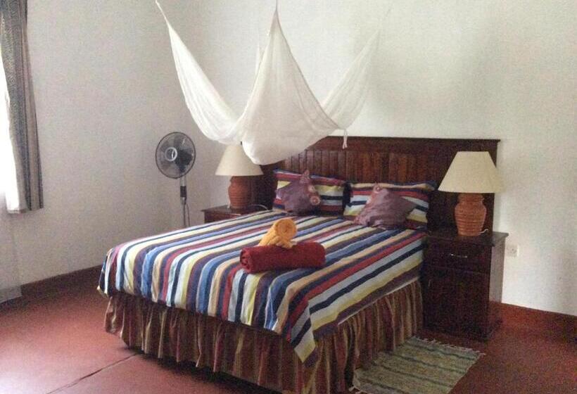 اتاق استاندارد با سرویس بهداشتی مشترک, Tabonina Bis