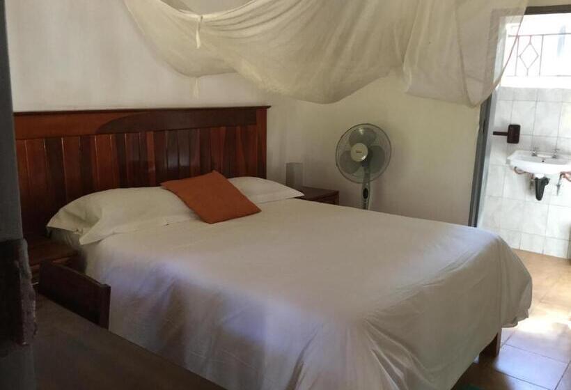 اتاق استاندارد, Tabonina Bis