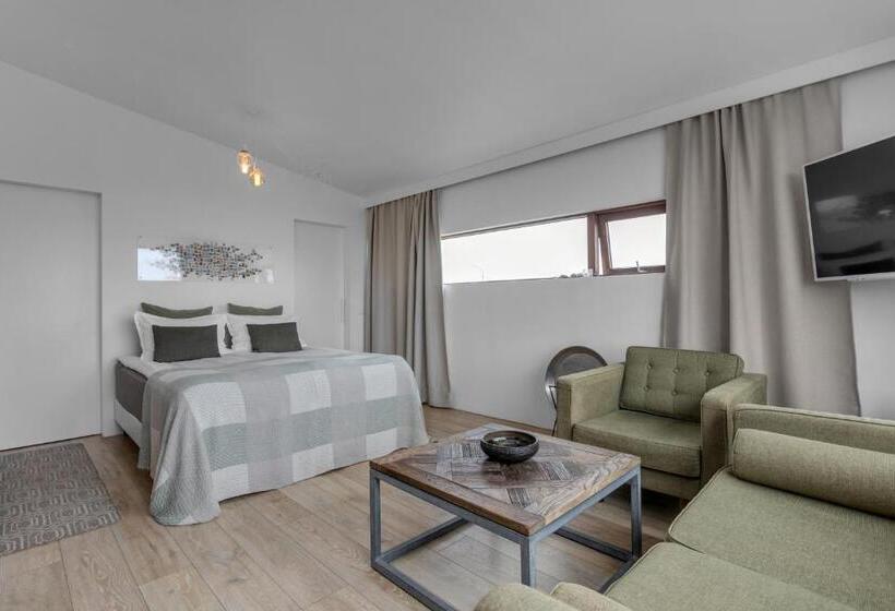 استودیوی استاندارد با چشم‌انداز دریا, Eyvindarholt Guesthouse