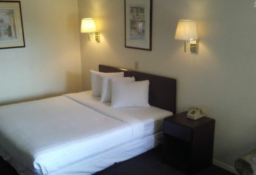 싱글 기본룸, Sunshine Motel