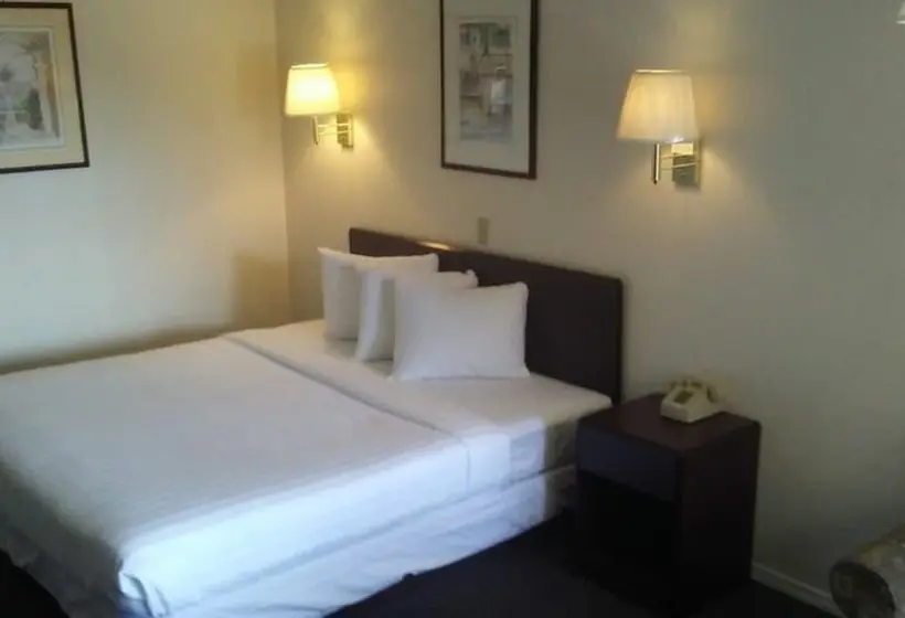 シングルベーシックルーム, Sunshine Motel