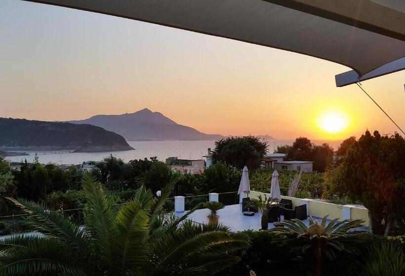 4인용 스탠다드 룸, Belvedere